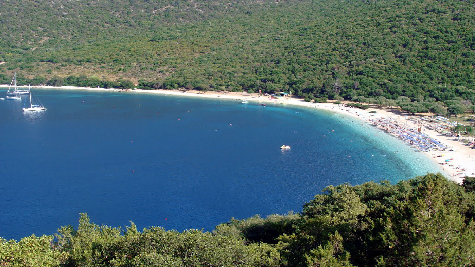 Αντίσαμος